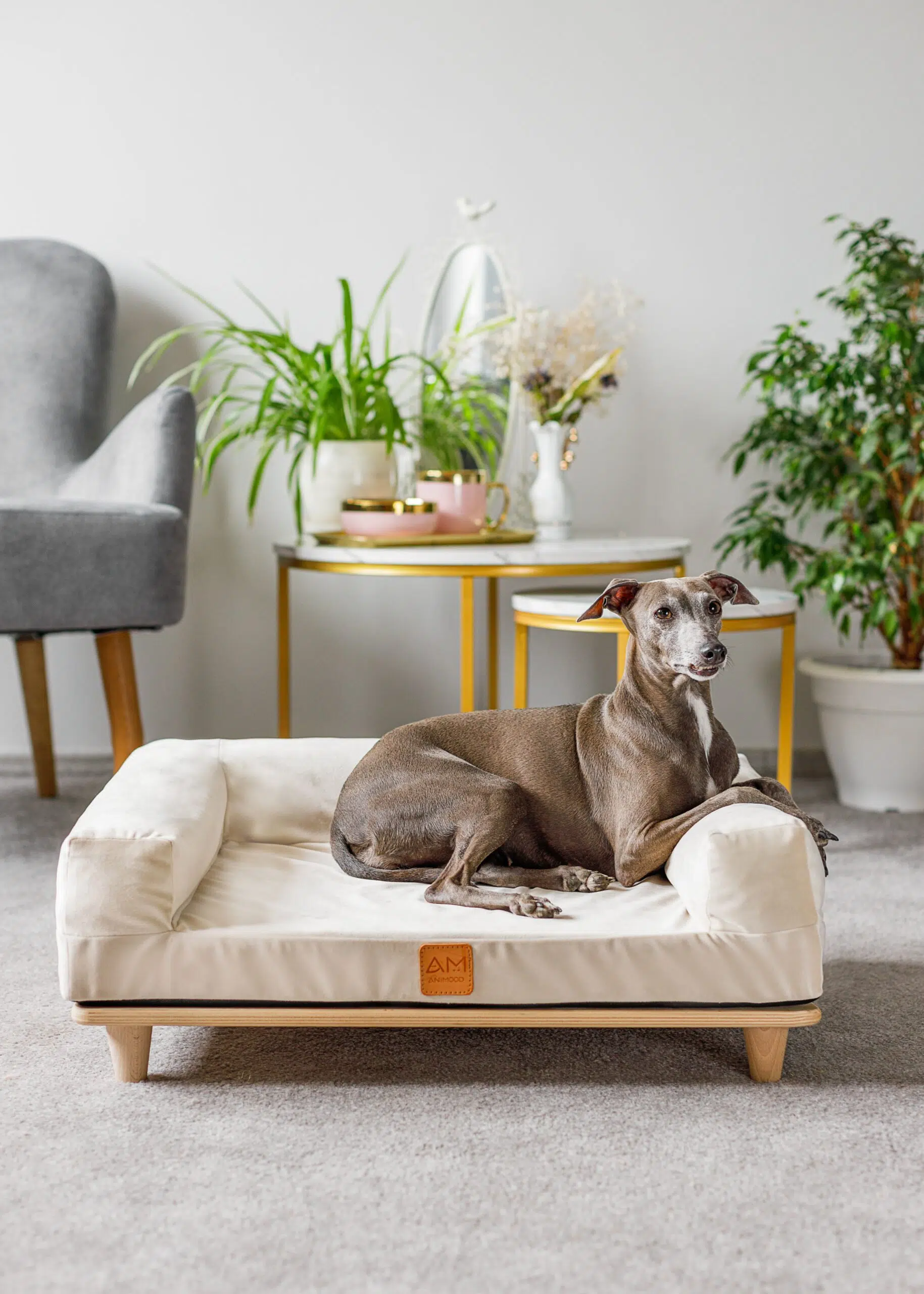 Canapé en bois en velours – SONYA